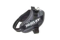 Beeztees Julius-K9 IDC-Powertuig Mini 49-67cm Antraciet
