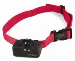 Petsafe Bark Control Collar Voor Honden Vanaf 3.6 Kg PBC19-10765 Bark Control Collar -Professionele winkel voor hondenbenodigdheden DIERENWINKELXL19701 shoparticle