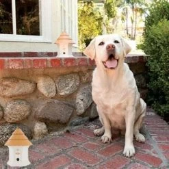 Petsafe Outdoor Bark Control Deluxe