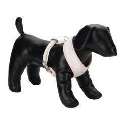 Beeztees Puppy Tuig - Roze - Maat M -Professionele winkel voor hondenbenodigdheden beeztees puppy tuig roze maat m 63830 0300 none