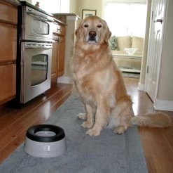 Road Refresher Pet Travel Bowl - Large (1400 Ml) - Grijs -Professionele winkel voor hondenbenodigdheden drinkschaal large honden antismos 1529562331 2