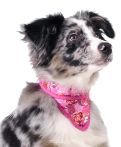 Cooling Pet Bandana Roses 5 Cooling Pet Bandana Roses -Professionele winkel voor hondenbenodigdheden file 1