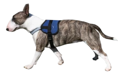 Cooling Survival Harnass Pacific Blue -Professionele winkel voor hondenbenodigdheden file 3
