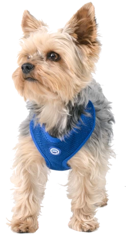 Cooling Round Loop Harnass Pacific Blue 5 Cooling Round Loop Harnass Pacific Blue -Professionele winkel voor hondenbenodigdheden file 8