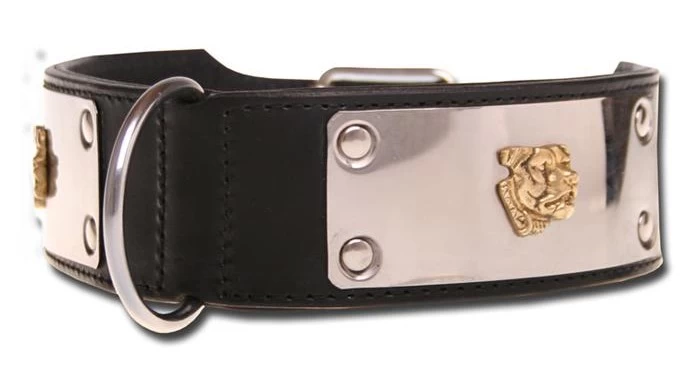 Hondenhalsband Dogs Of Steel 1 Hondenhalsband Dogs Of Steel