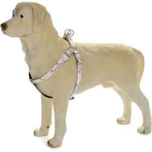 Beeztees Hondentuig Envy 35-60cm Wit 1 Beeztees Hondentuig Envy 35-60cm Wit