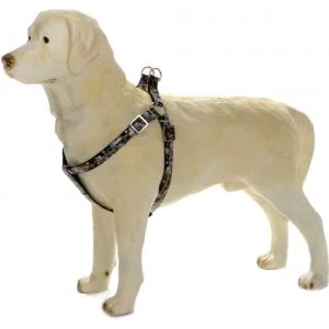 Beeztees Hondentuig Envy 35-60cm Zwart 2 Beeztees Hondentuig Envy 35-60cm Zwart - Afbeelding 2