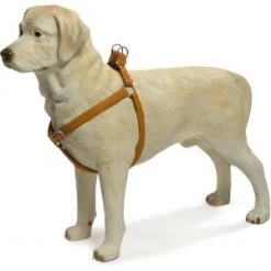 Beeztees Hondentuig Mac Leather 41-59cm Bruin -Professionele winkel voor hondenbenodigdheden hondentuig mac leather 41 59cm bruin 8712695086673 1 0 300x300