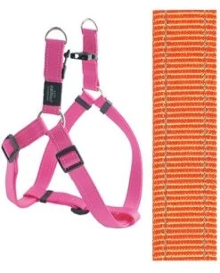 Rogz For Dogs Snake Step-in Hondentuig Verstelbaar Oranje 61 X 1,6 Cm