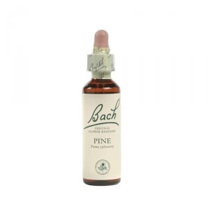 Bach Red Chestnut (Rode Kastanje) - 20 Ml
