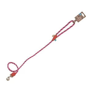 Lief! Hondenriem - Girls - 130 X 0,8 Cm 1 Lief! Hondenriem - Girls - 130 X 0,8 Cm