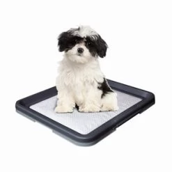Nobby NB PUPPY TRAININGSET SMALL 00001