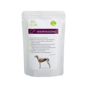 OrganicVet Dog Veterinary Diet - Herstel - 12 X 100 Gram