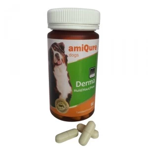 AmiQure Derma - 90 Tabletten