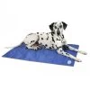 Scruffs Cooling Mat - Blauw - L