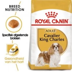Royal Canin Adult Cavalier King Charles Hondenvoer 3 Kg -Professionele winkel voor hondenbenodigdheden royal canin cavalier king charles adult 27 hondenvoer